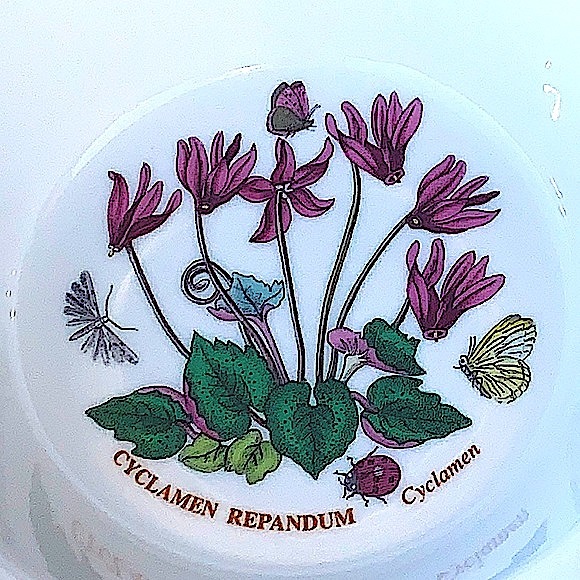 BOTANIC GARDEN BY PORTMEIRION CYCLAMEN REPANDUM CEREAL OATMEAL BOWL NEW - Picture 2 of 7